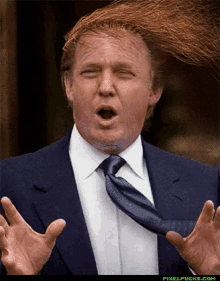 donald trump trump troll hair toupee
