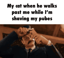 Cat Walks Past Me GIF - Cat Walks Past Me Shaving GIFs