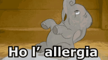 Elefantino Allergia Starnutire Starnuto Proboscide Dumbo GIF - Baby Elephant Allergy Sneeze GIFs