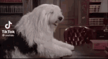 Dog With A Blog Punch GIF - Dog With A Blog Punch Fx GIFs