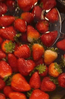 Strawberry Strawberries GIF - Strawberry Strawberries Chocolate GIFs