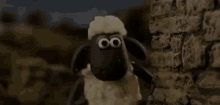 Smorfie Smorfia Linguaccia Linguacce Pernacchia Pernacchie Dispetti Dispettoso Dispettosa GIF - Pecora Sheep Making Faces GIFs