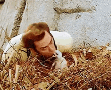 Ace Ventura Feeding Baby Bird GIF - Baby Bird Baby Bird Feeding Baby Bird Hungry GIFs