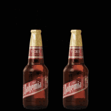 Salud Bohemia GIF - Salud Bohemia Pilsner GIFs