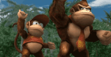 Super Smash Bros Brawl Donkey Kong GIF - Super Smash Bros Brawl Donkey Kong Diddy Kong GIFs