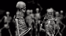Esqueletos Bailando GIF - Rumba Fiesta Esqueleto GIFs