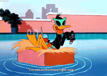 daffy duck im not in the mood right now im not in the mood
