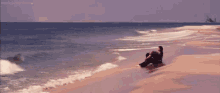Namorando Na Praia GIF - Paradise Beach GIFs