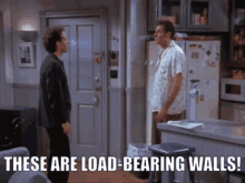Seinfeld Kramer GIF - Seinfeld Kramer Load Bearing Walls GIFs
