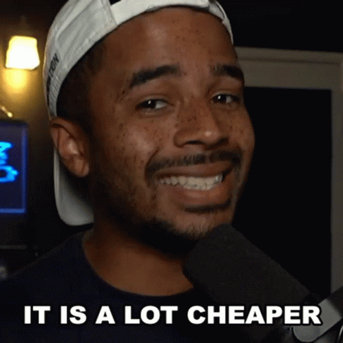It Is A Lot Cheaper Raynday Gaming GIF - It Is A Lot Cheaper Raynday Gaming Its Much Cheaper GIFs