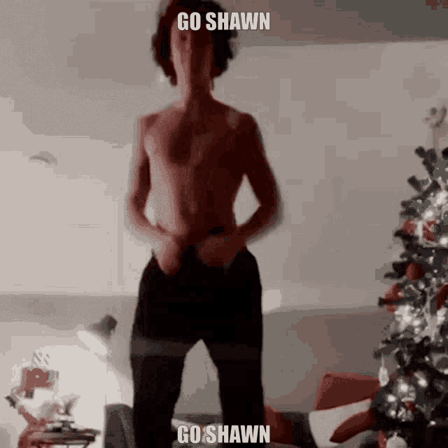 Shawn Mendes Shawn Mendes Dance GIF - Shawn Mendes Shawn Mendes GIFs