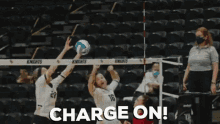 ucf ucf knights ucf volleyball go knights charge on