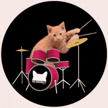 Cat Drumroll Drum Roll GIF - Drumroll GIFs