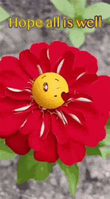 Hope All Is Well Greeting GIF - Hope All Is Well Greeting Emoji GIFs