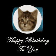 Happy Birthday To You Singing Birthday Kittens GIF - Happy Birthday To You Singing Birthday Kittens Happy Birthday Kittens GIFs