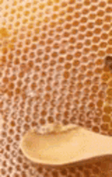 Honey Comb Honey GIF - Honey Comb Honey Fresh Honey GIFs