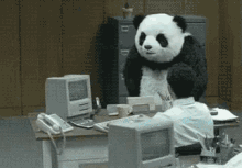 Ce N'Est Pas Juste GIF - Panda Pas Juste Injuste GIFs