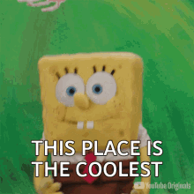 This Place Is The Coolest Spongebob Squarepants GIF - This Place Is The Coolest Spongebob Squarepants Youtube GIFs