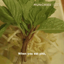 Pho When You Eat GIF - Pho When You Eat Best Way GIFs