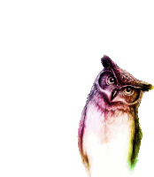 Owlet Tilt Head Sticker - Owlet Owl Tilt Head Stickers