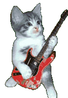 Guitar Cat Sticker - Guitar Cat Funny Stickers