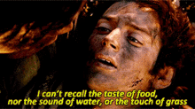 Frodo Recall GIF - Frodo Recall Taste GIFs