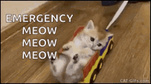 Emergency Meow Meow Meow Kitty GIF - Emergency Meow Meow Meow Kitty Kitten GIFs