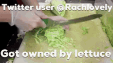 Rachlovely Lettuce GIF - Rachlovely Lettuce Chopped GIFs