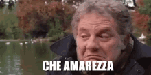 Che Amarezza Cesaroni Canale5 Cesare Che Tristezza Triste Depresso Depressione Schifo GIF - What A Shame Depressing Pity GIFs
