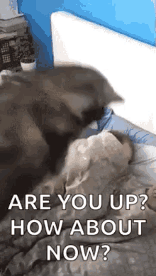 need up