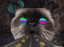 宇宙ねこ GIF - Space Cat Uchu Neko GIFs
