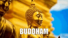 Buddha Buddha Nepal GIF - Buddha Buddha Nepal Buddha Jayanti GIFs