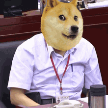 Doge Memes GIF - Doge Memes GIFs
