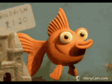 Goldfish Animated GIF - Goldfish Animated Wink GIFs