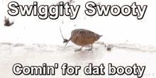Flirting Swiggity Swooty Comin For Dat Booty GIF - Flirting Swiggity Swooty Comin For Dat Booty Booty GIFs