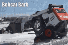 Bobcat Barb GIF - Bobcat Barb GIFs