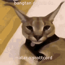 floppa bigfloppa gantan ze tatara bangtan floppa bigfloppa gantan ze tatara bangtan