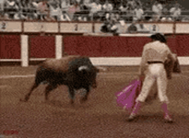 Bull Matador Flipped GIF - Bull Matador Flipped Bull Fight GIFs