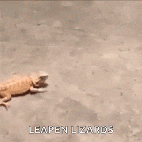 Scary Lizard Gifs Tenor