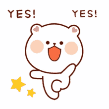 cute cute