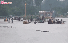 World Calamity Prevention Day | Looking Back At Chennai Floods.Gif GIF - World Calamity Prevention Day | Looking Back At Chennai Floods Trending Floods GIFs