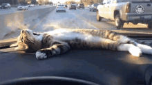 Nap Time Tired GIF - Nap Time Tired Passed Out GIFs