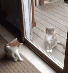 Cats Play Time GIF - Cats Play Time That Escalated Quickly GIFs