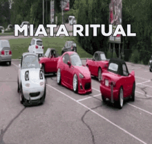 Miata Miata Ritual GIF - Miata Miata Ritual Houthakkersclub GIFs