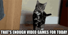 Thats Enough Video Games GIF - Thats Enough Video Games For Today GIFs