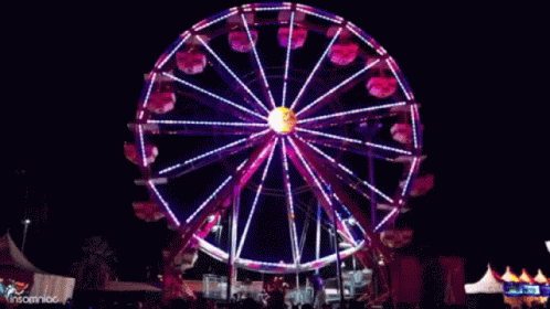 Ferris Wheel GIFs | Tenor