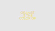 Orange Is Insanity GIF - Orange Insanity Color GIFs