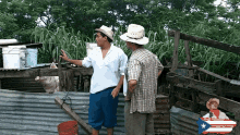 jibaro puerto rico farming agriculture pig