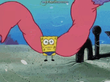Spongebob Squarepants GIF - Spongebob Squarepants Sponge GIFs