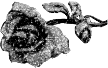 b%C3%B6be giffjei sparkle black and white rose b%C3%B6be giffjei sparkle black and white rose